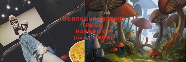 mix Вяземский