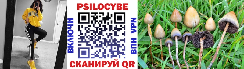 Псилоцибиновые грибы Cubensis  omg   Казань  где купить наркоту 
